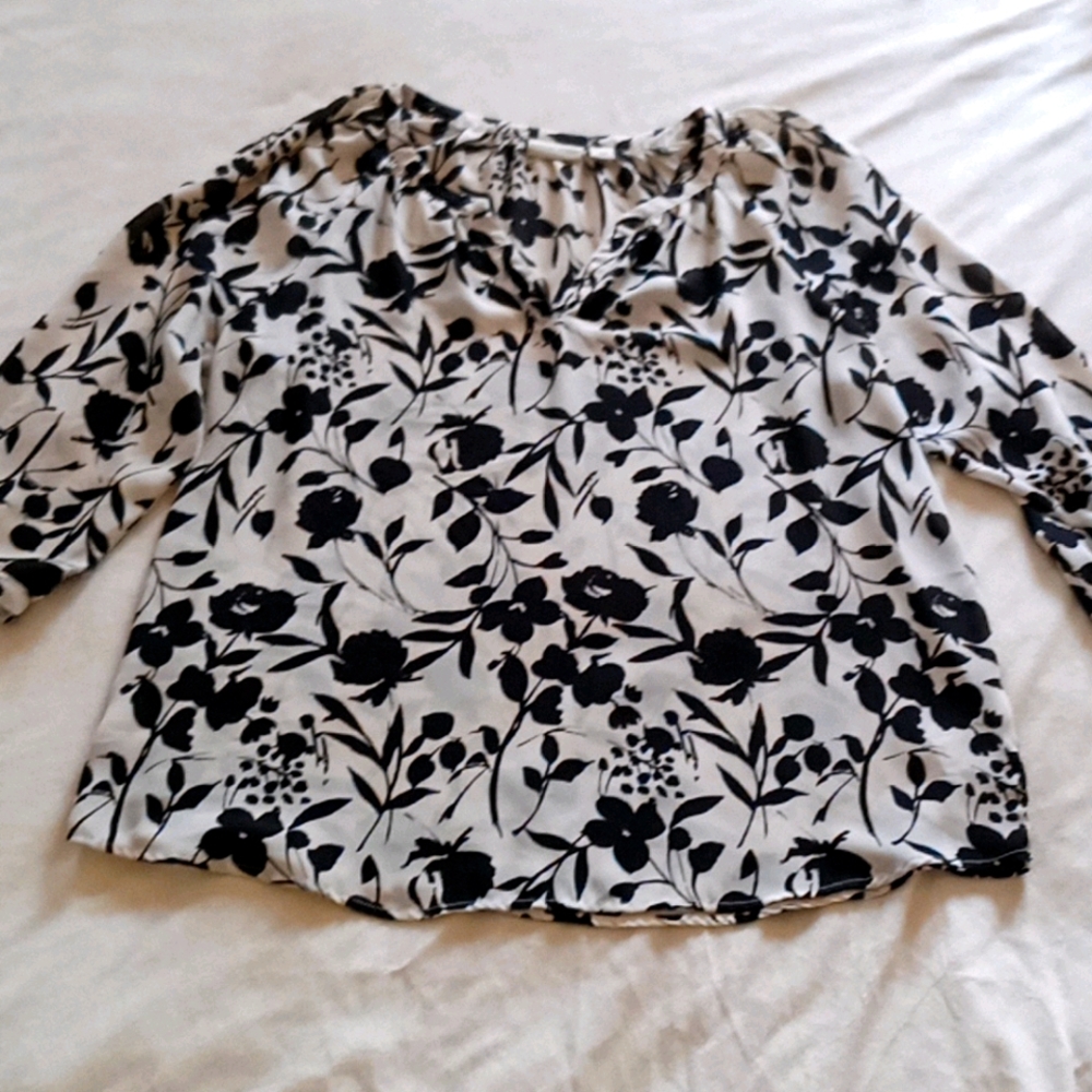 Sheer  Adrienne Vittadini Blouse